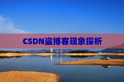 CSDN盗博客现象探析